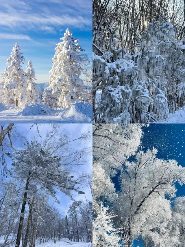 북국 동화 세계 무단장 겨울 필수 방문 6대 명소!