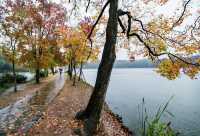 獨享絕美秋景!南京植物園月牙堤紅葉雨景打卡攻略