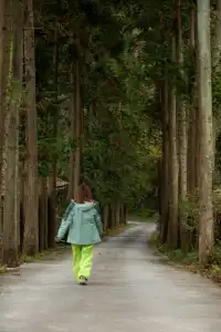 平武老河溝|小眾彩林秘境徒步全攻略