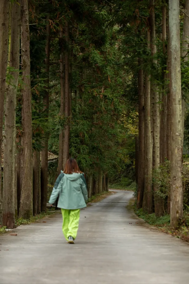 平武老河溝|小眾彩林秘境徒步全攻略 平武老河溝|小眾彩林秘境徒步全攻略