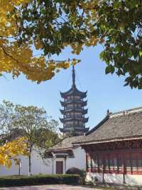 海寧觀潮勝地公園 | 深秋的詩意畫卷