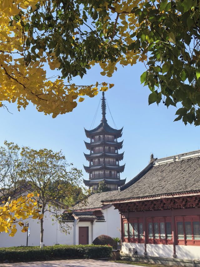 海寧觀潮勝地公園 | 深秋的詩意畫卷 海寧觀潮勝地公園 | 深秋的詩意畫卷