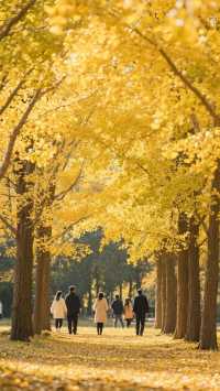 這裡的風景如詩如畫!