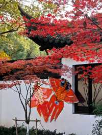 坐著11號線去看秋(上海周邊遊)