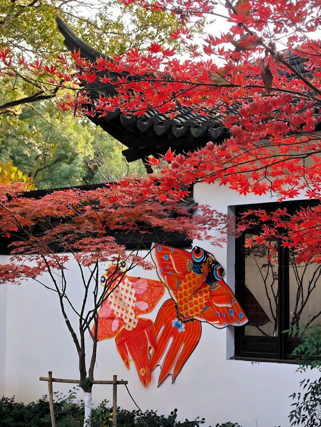 坐著11號線去看秋(上海周邊遊) 坐著11號線去看秋(上海周邊遊)