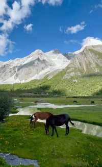 川西包車越野車VS商務車對比來啦~