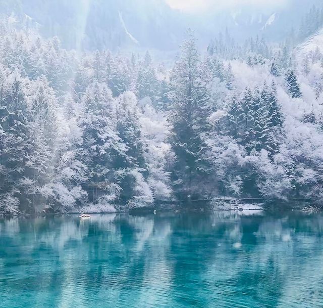 下雪的九寨溝美到窒息！這場"豪賭"太值了