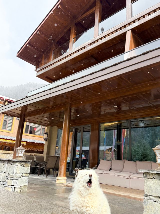 冬日童話屋住進九寨溝的雪花秘境裡！