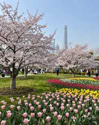 魔都版莫奈花園打卡|四季皆美,打卡不踩雷