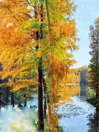 江蘇人嘴真嚴,這麼美的地方藏著不說~