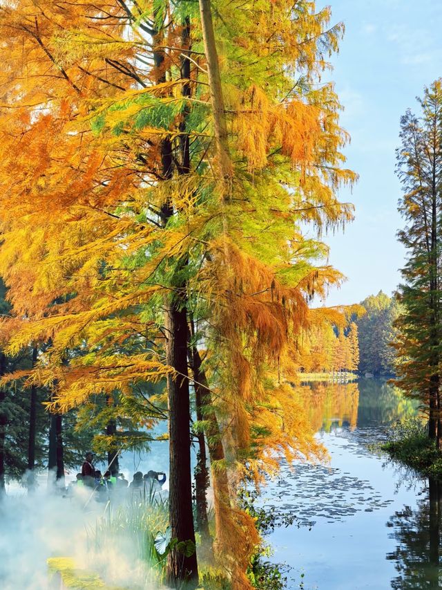 江蘇人嘴真嚴,這麼美的地方藏著不說~ 江蘇人嘴真嚴,這麼美的地方藏著不說~