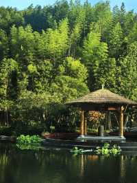 溫州也有獨屬自己的溫泉酒店了