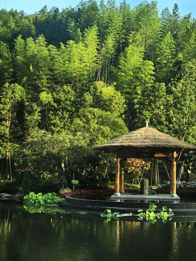 溫州也有獨屬自己的溫泉酒店了