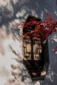 初冬念想｜在翁家花園邂逅一場銀杏雨下的時光靜止