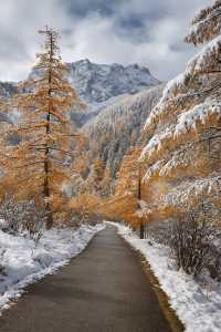 被狠狠種草!稻城亞丁的秋冬氛圍感絕了