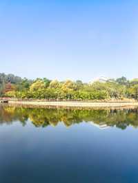 【韶關紅葉季】韶州公園漫步指南童話世界的調色盤在這裡!