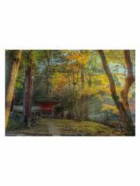 奈良小眾秘境東大寺的鎮守社・手向山八幡宮的紅葉絕景