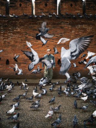 Chiang Mai | I would call it Thailand's City of Fantasy!