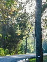 南京這個低調的度假天堂週末避開人潮就衝這