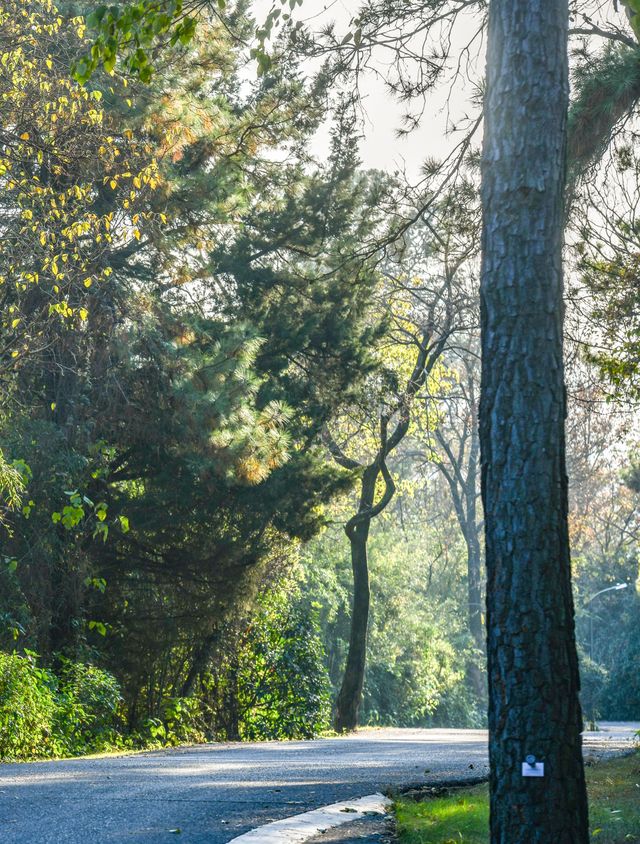 南京這個低調的度假天堂週末避開人潮就衝這 南京這個低調的度假天堂週末避開人潮就衝這