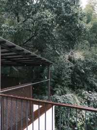 莫干山的初雪，你就是故事裡的主角