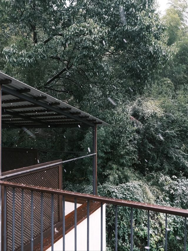 莫干山的初雪，你就是故事裡的主角