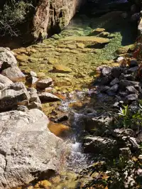 自駕分享: 武夷山國家公園一號風景道