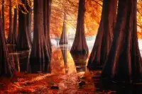 連夜來到南京只為拍到這幾張