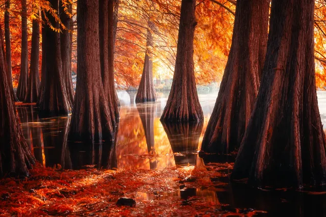 連夜來到南京只為拍到這幾張