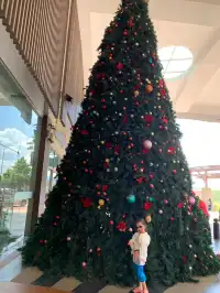 是誰在炒冷飯|杭州-馬來西亞沙巴5日遊