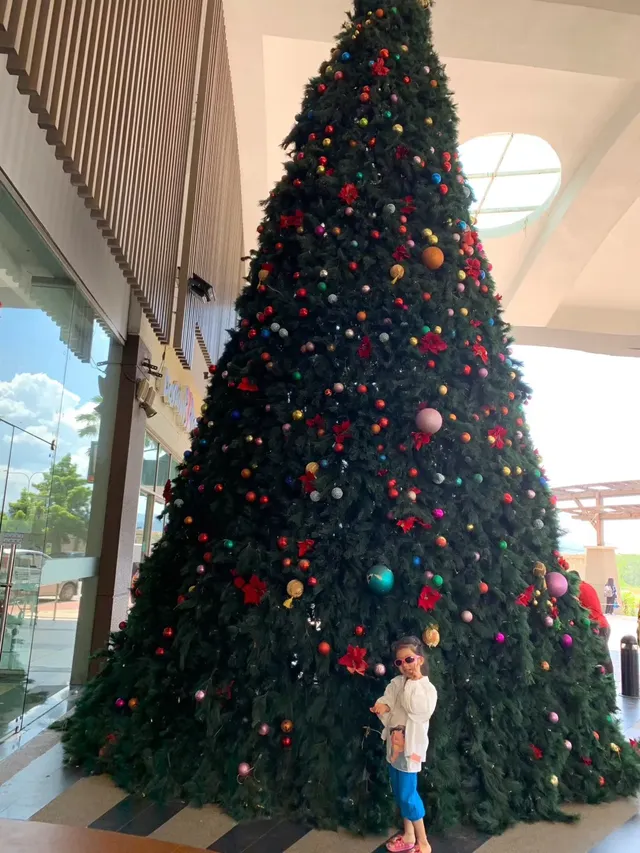 是誰在炒冷飯|杭州-馬來西亞沙巴5日遊 是誰在炒冷飯|杭州-馬來西亞沙巴5日遊