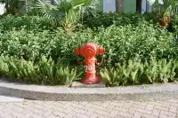 2025年膠片集 | 香港長洲島