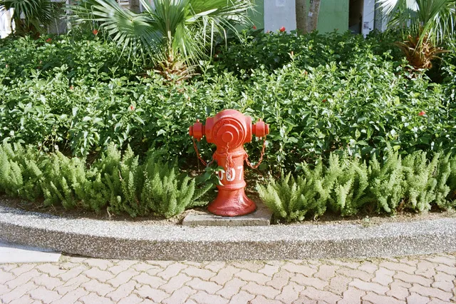 2025年膠片集 | 香港長洲島