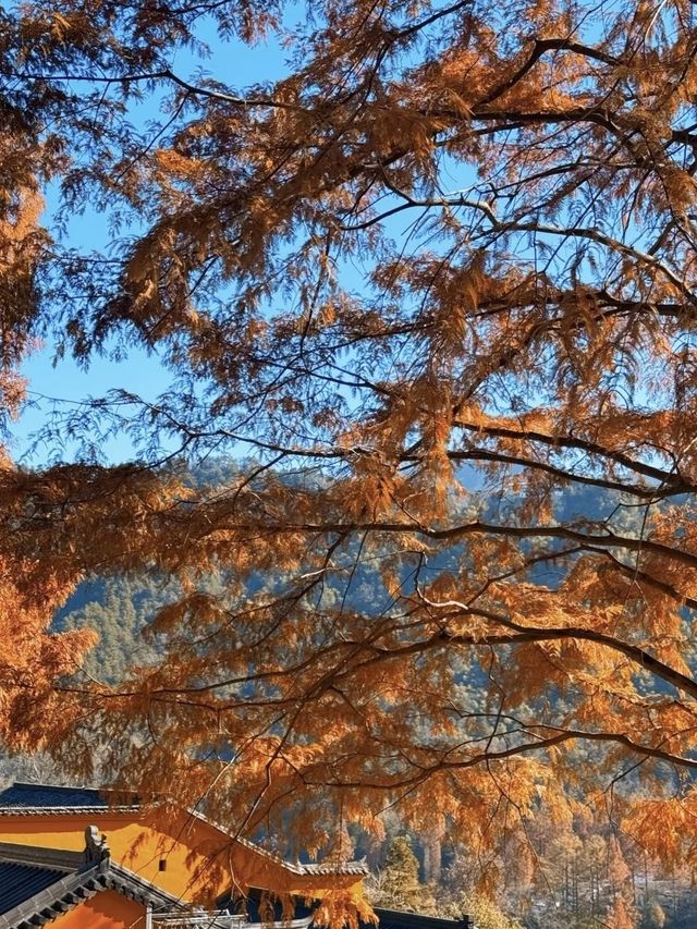 九華山寶藏民宿｜推窗見佛的治癒之旅