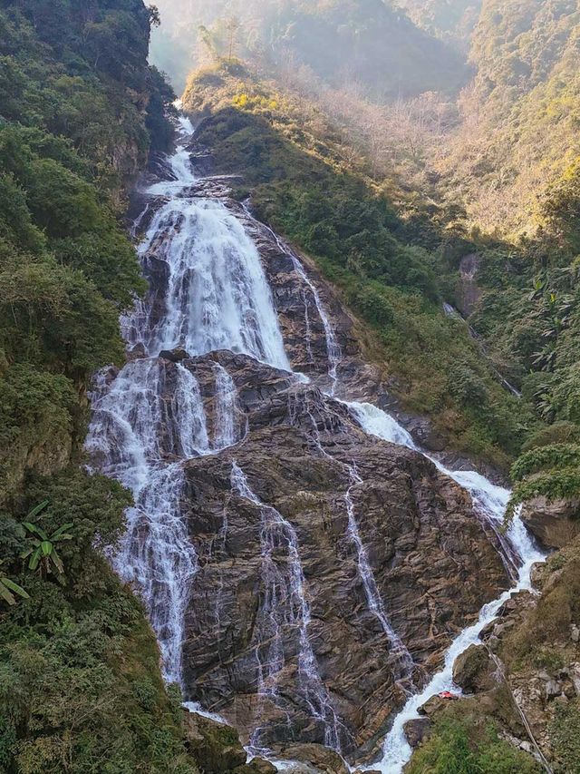 剛從哀牢山回來!看這篇就夠了 剛從哀牢山回來!看這篇就夠了
