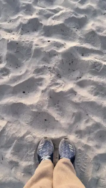 Carmel by the Sea｜加州童話海濱小鎮