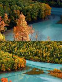 探秘新疆喀納斯，遇見最美的秋色