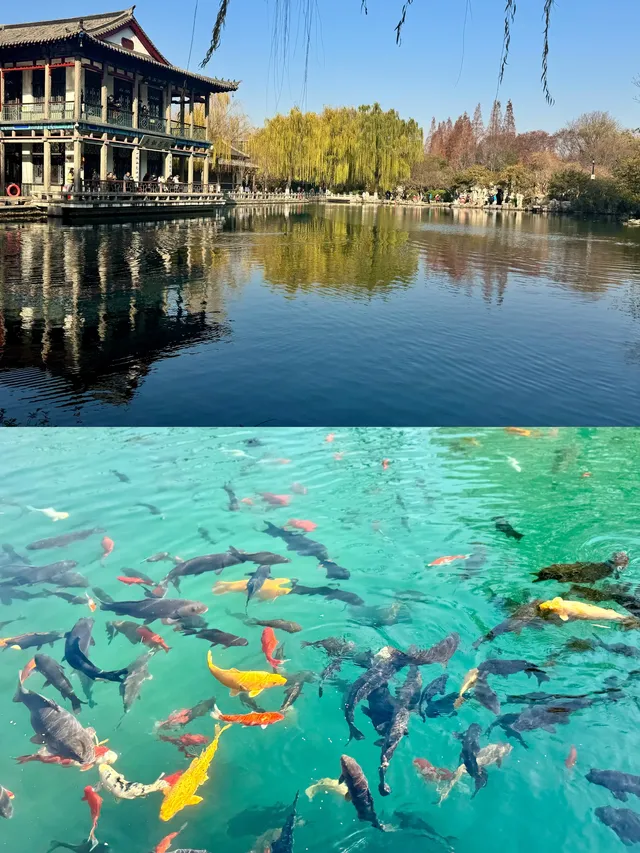 山東濟南-曲阜-泰山4日遊#這座城總得來一趟 山東濟南-曲阜-泰山4日遊#這座城總得來一趟