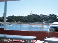 Perth|Rottnest island 🩵