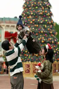 小紅書誠不欺我!港迪這個機位太出片了