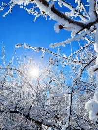 冬日烏蘭布統冰雪攻略