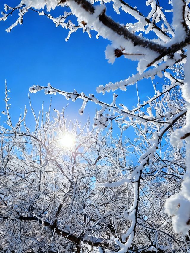冬日烏蘭布統冰雪攻略 冬日烏蘭布統冰雪攻略