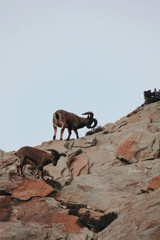 【冬季寧夏】銀川中衛 【冬季寧夏】銀川中衛