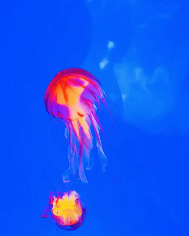 Must-visit Underwater World with Kids