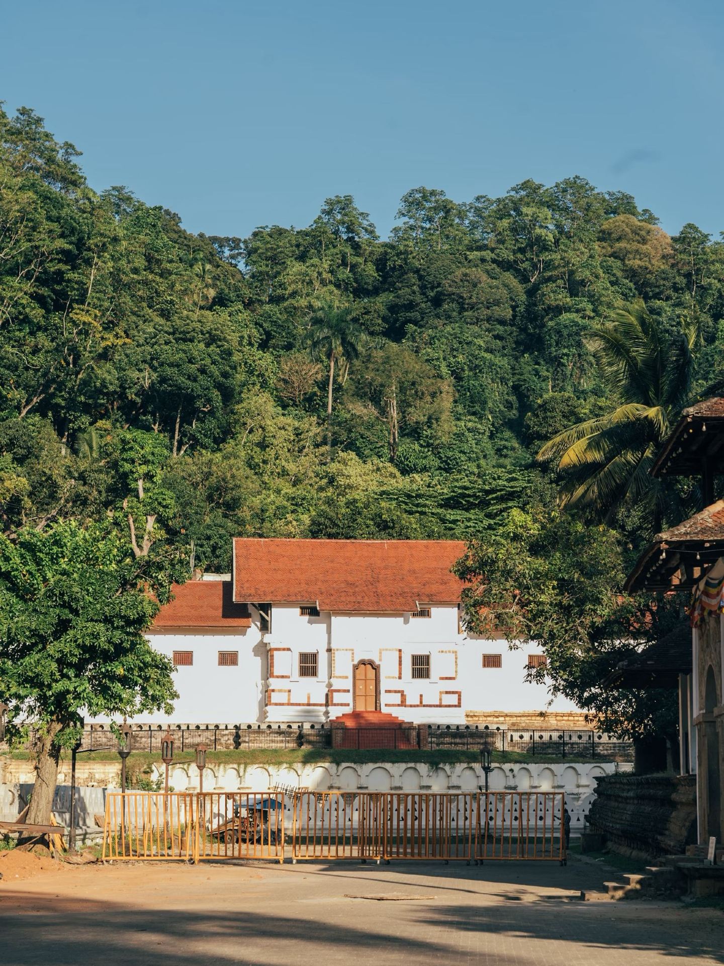 Sri Lanka 8-Day Tour | Spring Exclusive Guide is Here
