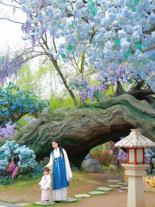 春日横店は最高！春休みに子どもと花見を楽しむのにぴったり