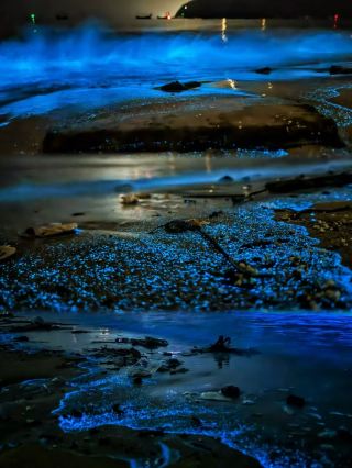 เจอแพ็กเกจสุดคุ้ม! ทริปเที่ยวเกาะเหวยโจว 3 วัน 2 คืน