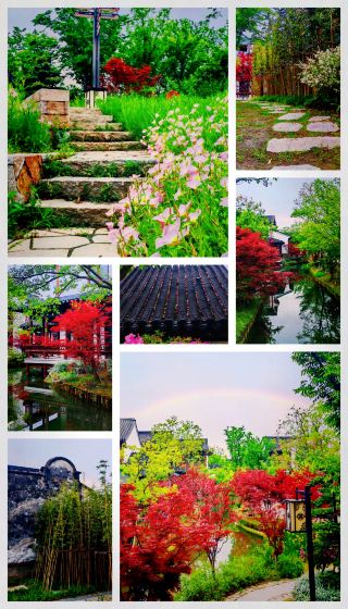 Spring Exclusive in Tai'an: Unlock the Jiangnan-Style Poetic Secret Realm｜Complete Guide