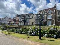 Fantastic Sri Lanka Tour with Zephyra Travels