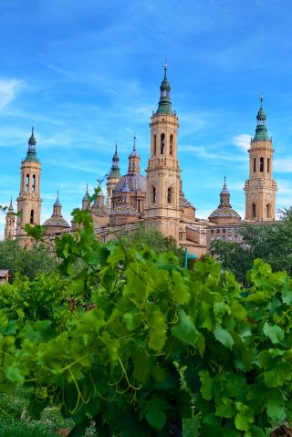 In Aragon, Spain, a light buzz is the essence of the local scenery.
